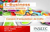 E BUSINESS course 6 - INSEEC 2011/12