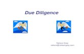 Taming the Dragon- Secrets of Due Diligence (Nelson Gray)