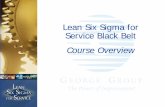 Lean Six Sigma for Service Black Belt Course Overview