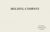 Holding company