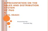 Sales and distribution presentation on procter n gamble(P&G)