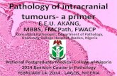Pathology of intracranial tumors   lecture