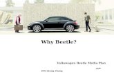 VW Beetle Media Plan