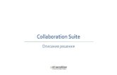 SharePoint Collaboration Suite - Collaboration Platform