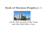 Book Of Mormon Prophecy 1. Jacob
