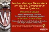 Nuclear damage parameters for SiC composites in fusion system