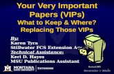 Your Very Important Papers (VIPs)