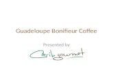 Guadeloupe coffee history
