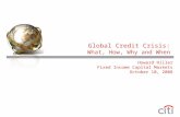 Global Credit Crisis: What, How, Why and When