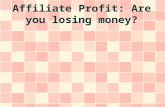 Affiliate Profit: Are you losing money?