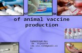 Conventional methods of animal vaccine production
