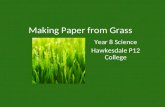 Making Paper From Grass