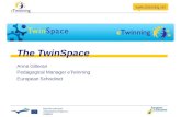 E twinning wg1_twinspace_201009