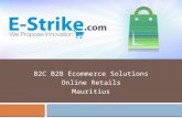 E-strike.com Operating Model, Structure and Implications