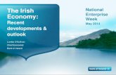 The Irish Economy-National Enterprise Week May 2014