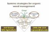 Systems strategies for organic weed management