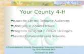 Sample PowerPoint- Selling A Course Of Action To County 4 H