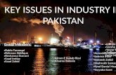 Issues in Pakistan Industry