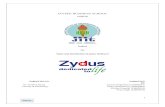 Sales and distribution model of zydus wellnes