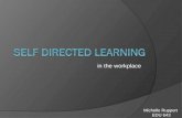 Self-directed learning in the workplace