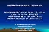 INSTITUTO NACIONAL DE SALUD GEOREFERENCIACION SATELITAL EN LA IDENTFICACION DE AEDES TENIORHYNCHUS, VECTOR DE LA ENCEFALITIS EQUINA VENEZOLANA Dr. Jorge.