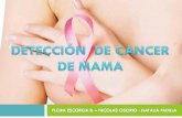 Detección  de cancer de mama y cancer de cervix