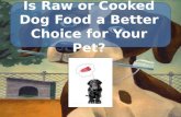Raw Dog Food vs. Cooked - Which is Better?