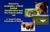 Scott findlay critical habitat and recovery