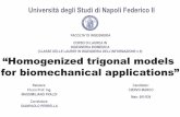 Homogenized trigonal models for biomechanical applications description copia