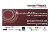 Knowledge Mobilization as an Institutional Priority, November 2013