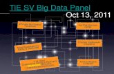 TiE Big Data panel
