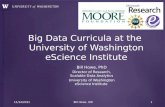 Big Data Curricula at the UW eScience Institute, JSM 2013