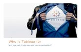 Who Is Tableau Software For?