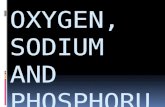 O xygen, sodium and phosphorus1