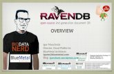 RavenDB overview