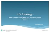 What's all the Fuss About UX Strategy?   slideshare
