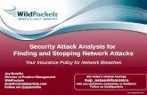 Security Attack Analysis for Finding and Stopping Network Attacks