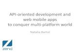 Api oriented development and web mobile apps to conquer multi platform world