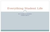 Everything student life presentation