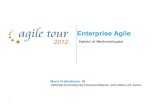 Enterprise Agile - Hybrid of Methods