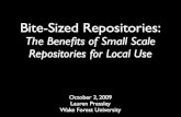 Bite Sized Repositories