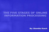 Information Communication Technology&Ecommerce- Stages of Online Information Processing