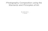 Photography composition using the elements and principles of