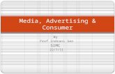 Media, advertising & consumer