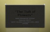 The tuft of flowers