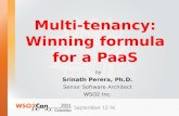 Multi-tenancy: Winning formula for a PaaS