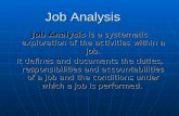 Job  Analysis  I I P M