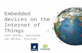 Embedded Devices on the Internet of Things