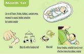 Baby Development Guide 0 36 Months