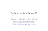 Python in raspberry pi